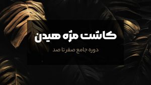 تکنیک های قیمت گذاری پروژه های فریلنسری